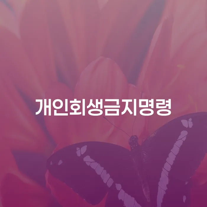 개인회생 기간 빚 합법적인 빠른방법 하는 중요한 팁
