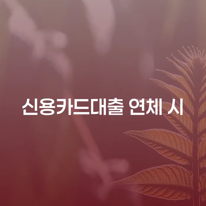 개인회생파산 빚 합법적인 빠른방법 필수로 알아야하는 부분