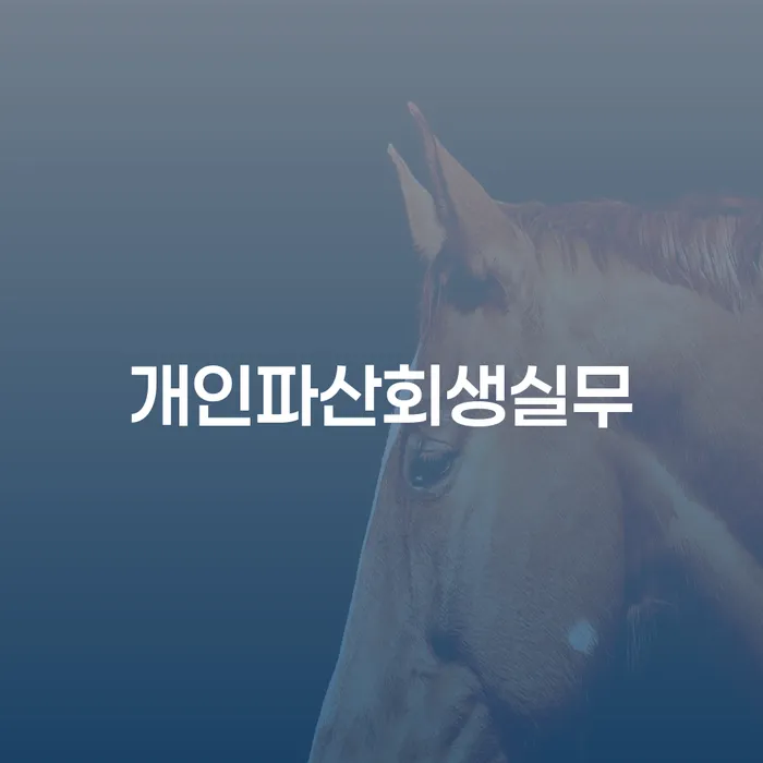 파산면책기간 개인회생 제도 사례확인하고