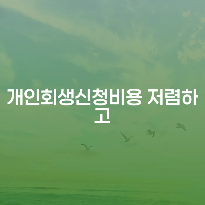 금천구 보증서대출 연체 시 개인회생 문제해결방법 어떻게
