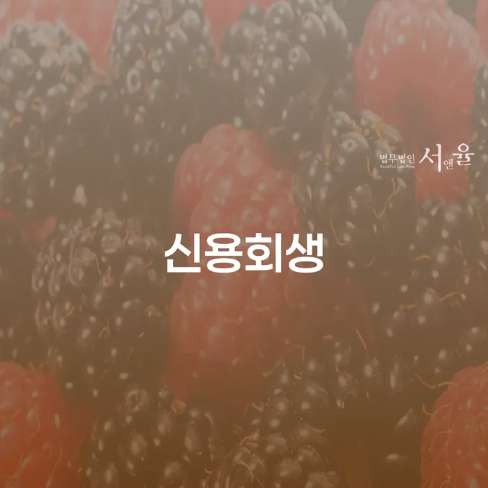 송파구 개인회생최근대출 대출 받은 돈채무조정 절차 이해해야