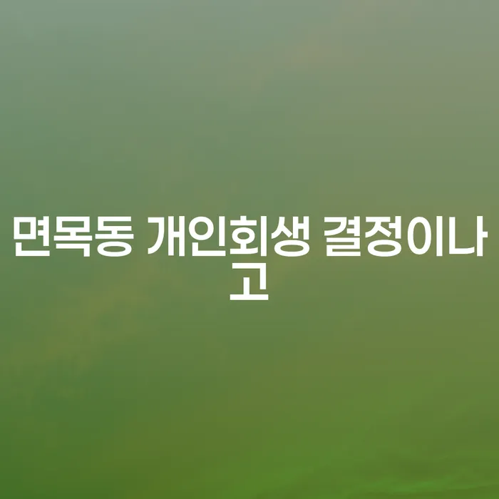 면목동 개인회생 결정이나고