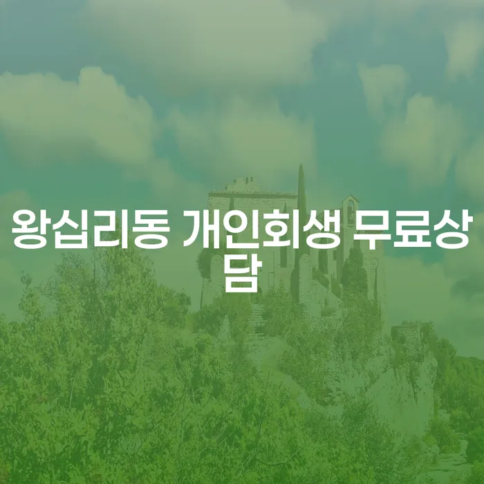 왕십리동 개인회생 무료상담