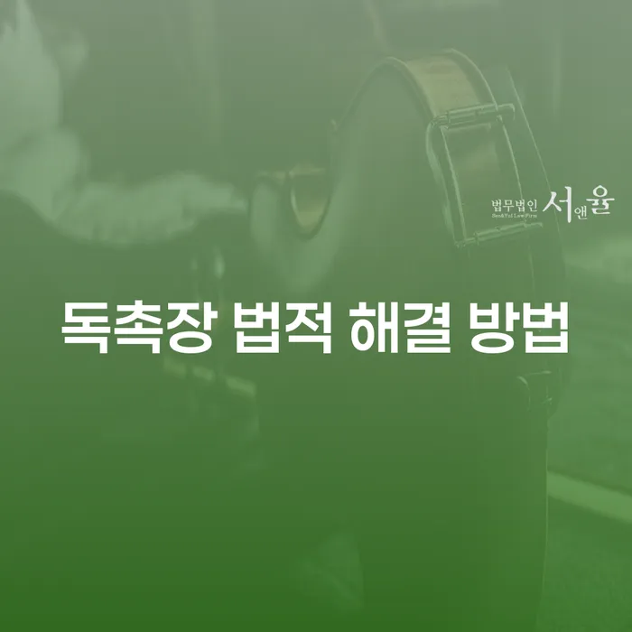 독촉장을 받았을 때 법적으로 해결할 수 있는 방법은 무엇일까요?