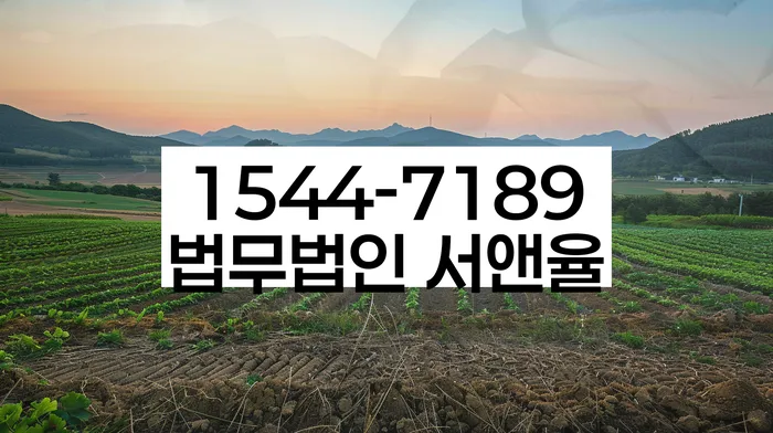 개인회생 변제금 상환 완료 후