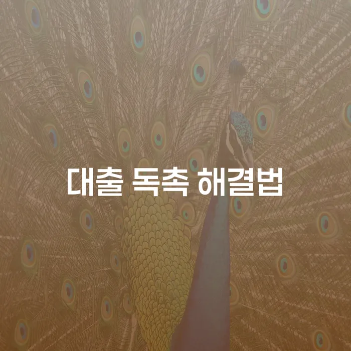 대출 독촉 해결법: 어떻게 채무의 늪에서 벗어날 수 있을까요?