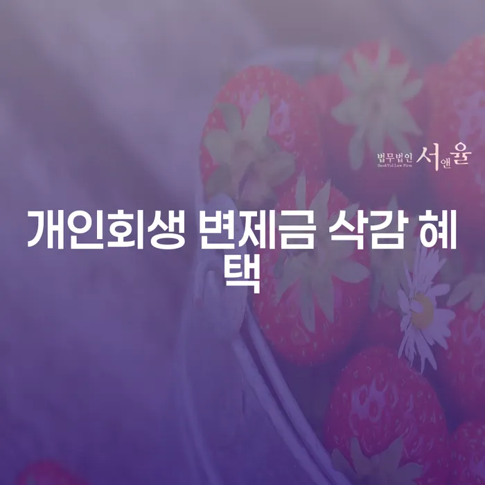 개인회생 변제금 삭감 혜택: 어떻게 효과적으로 활용할 수 있을까요?