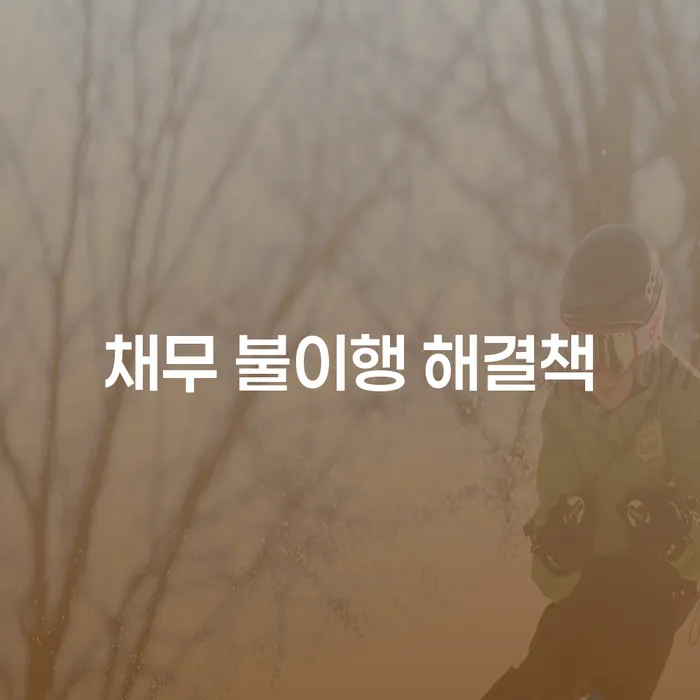 채무 불이행 해결책, 어떻게 접근해야 할까요?